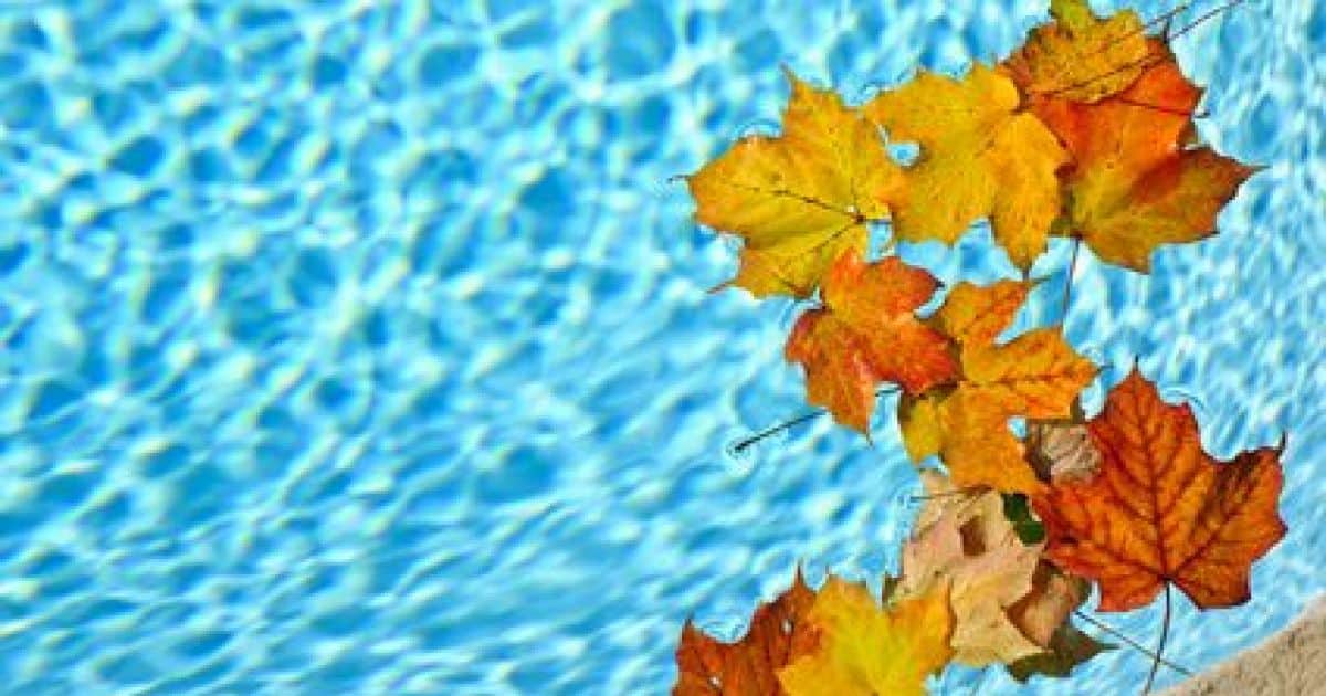 fermeture piscine feuilles